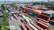 Kinh tế phục hồi, thu ngân sách tăng