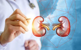 Bệnh viêm cầu thận cần chú ý kiêng cữ gì?