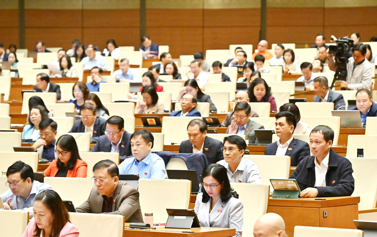 Các đại biểu tham dự Phiên họp