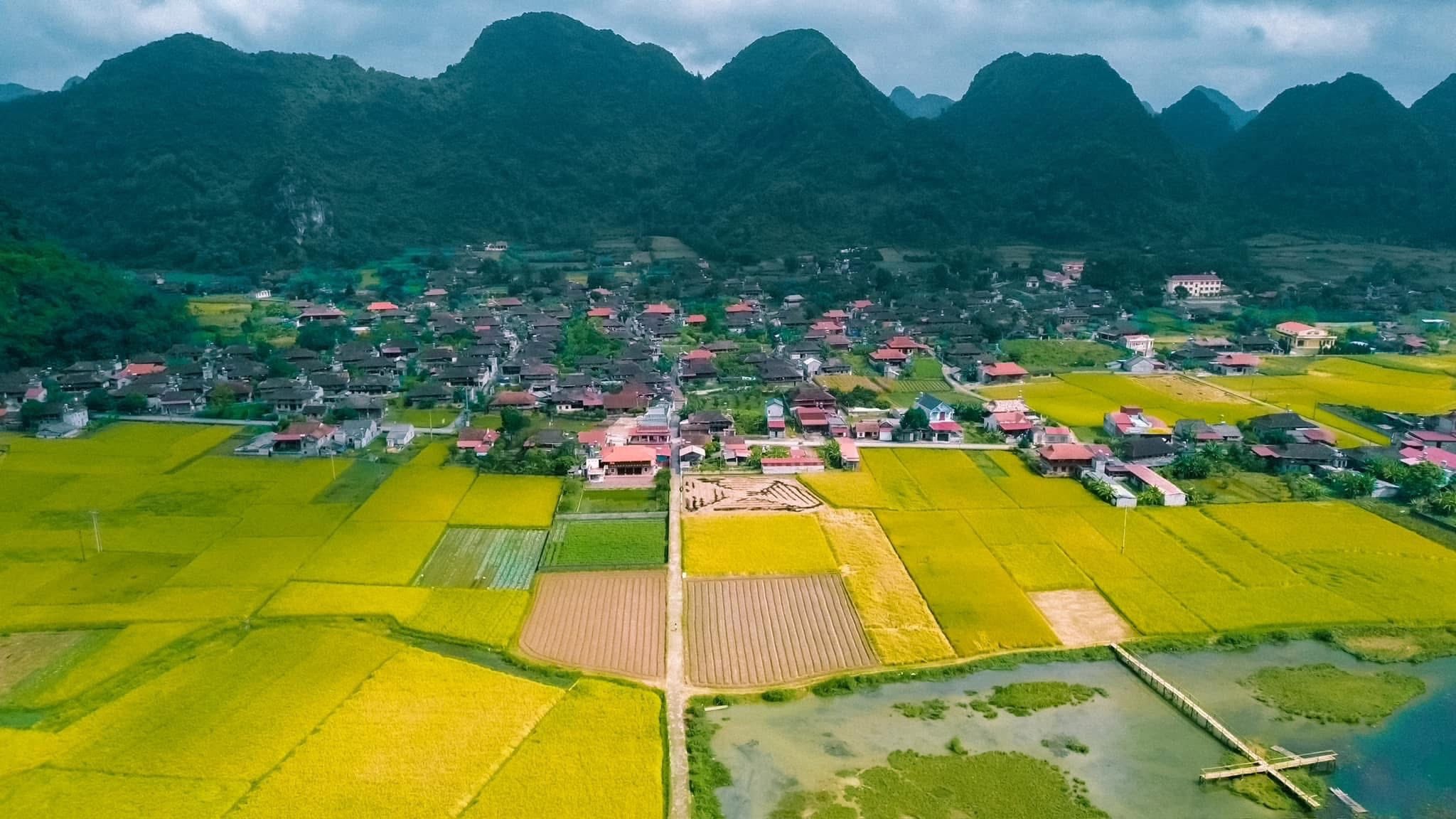 Quynh Son Village, where hundreds of stilt houses all face south, as locals believe this direction brings coolness, peace, and prosperity. Photo: Chu Duc Giang