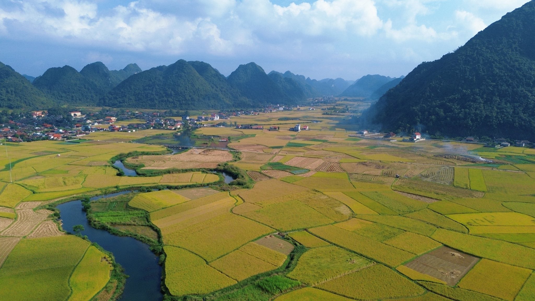 Bac Son Valley during the rice harvest season. Photo: Chu Duc Giang