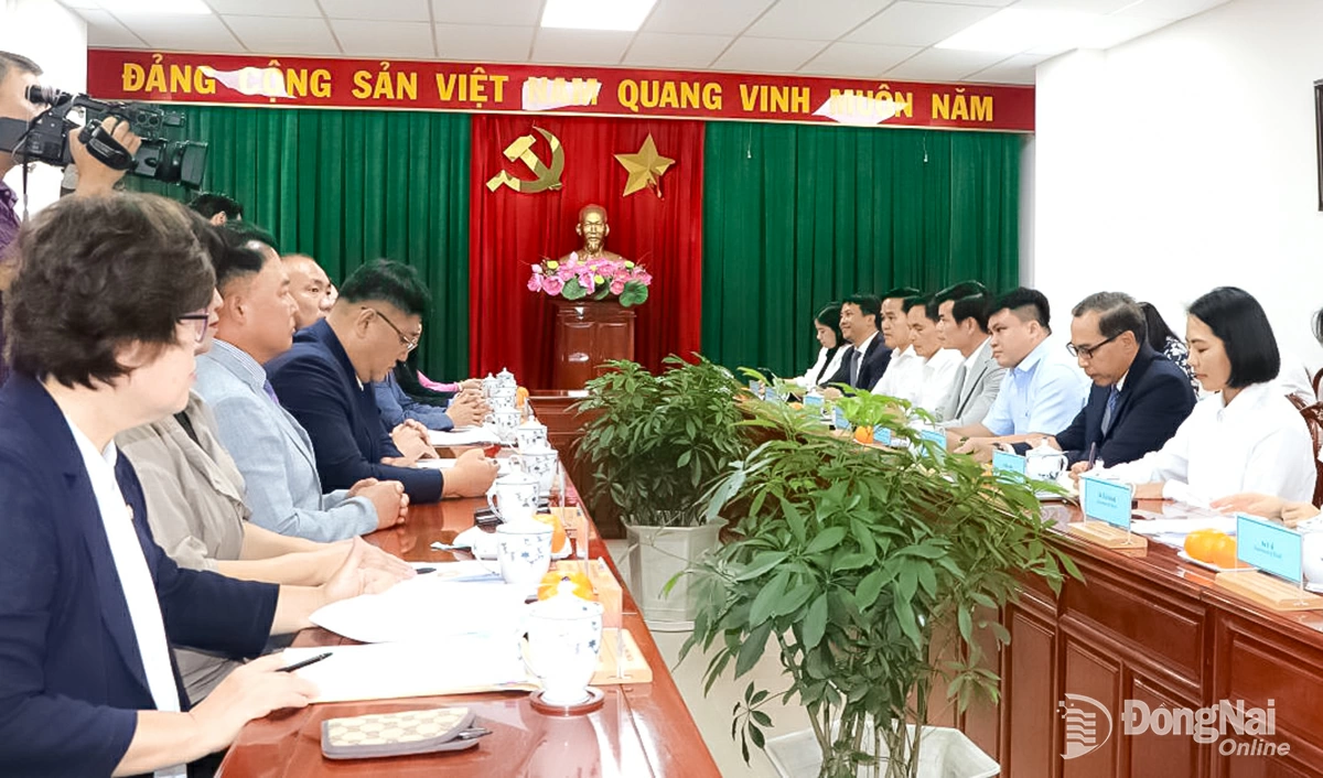 The meeting between representatives of the Provincial leadership and the working delegation from Gimhae Province, RoK, on the morning of November 6. Photo: Ngoc Lien