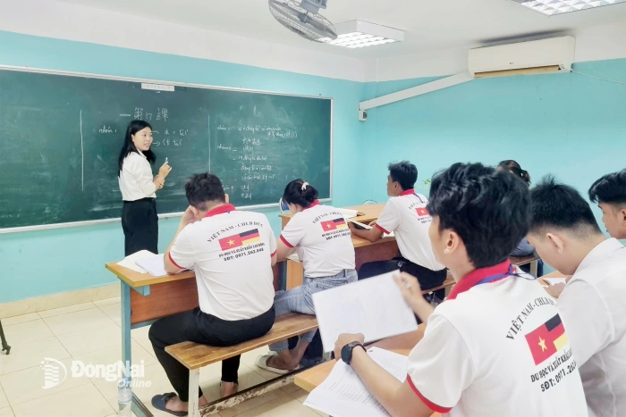 Đồng Nai: Hơn 1,3 ngàn lượt lao động đi làm việc ở nước ngoài trong 9 tháng