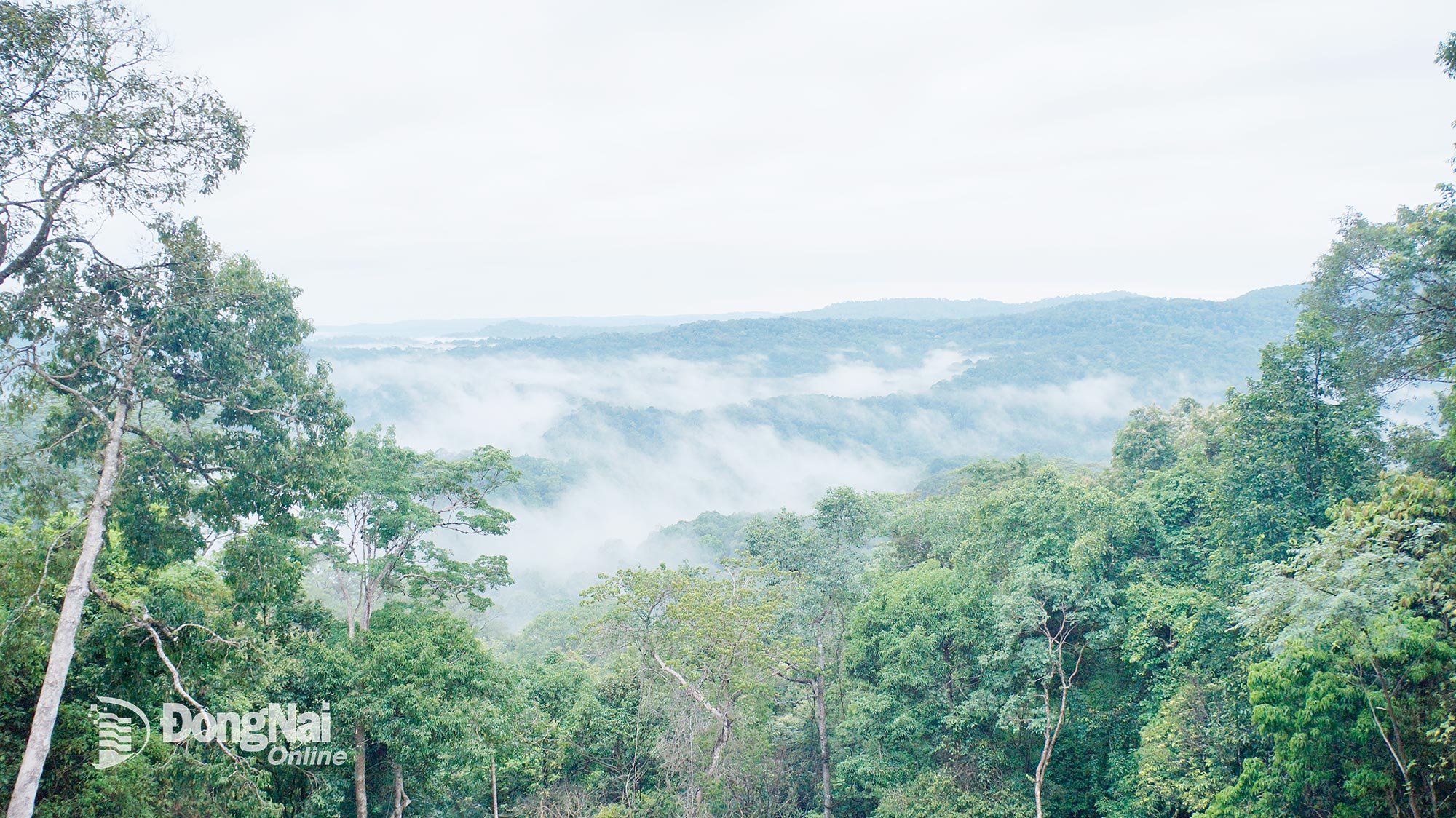 In the morning, Bu Gia Map National Park seems to be shrouded in morning mist

