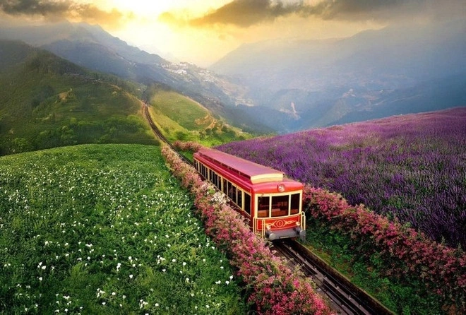 The Muong Hoa mountain train enhances green tourism experiences for visitors to Sa Pa.
