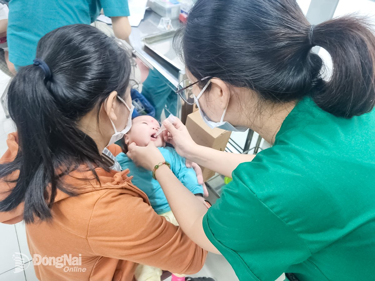 Currently, the Rota vaccine to prevent diarrhea in children still has to be paid for at a quite high price, depending on the country of production. Photo: Bich Nhan


