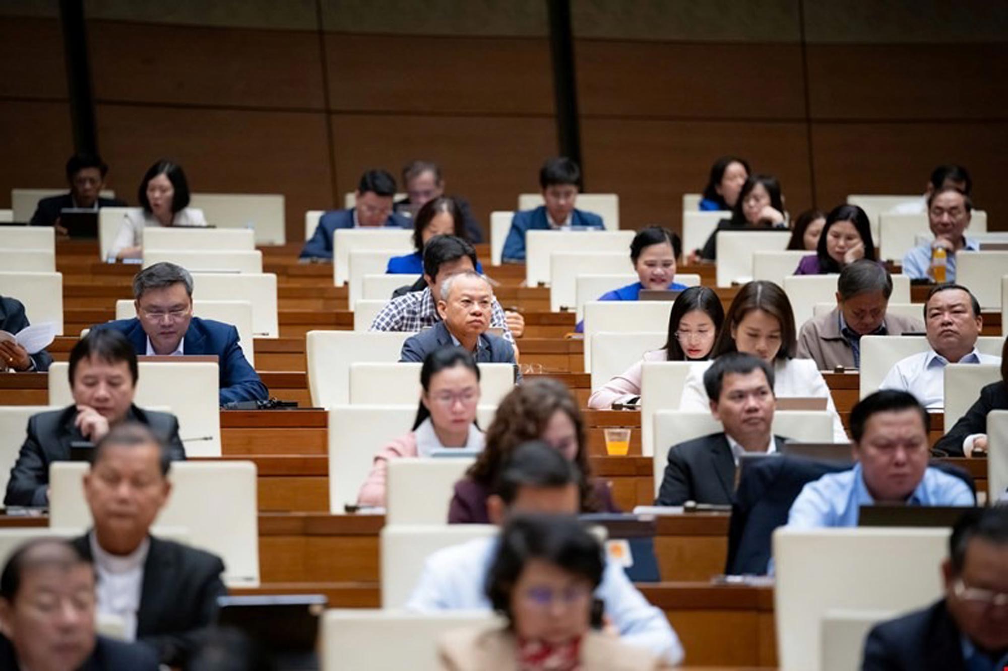 Các đại biểu tham dự Phiên họp