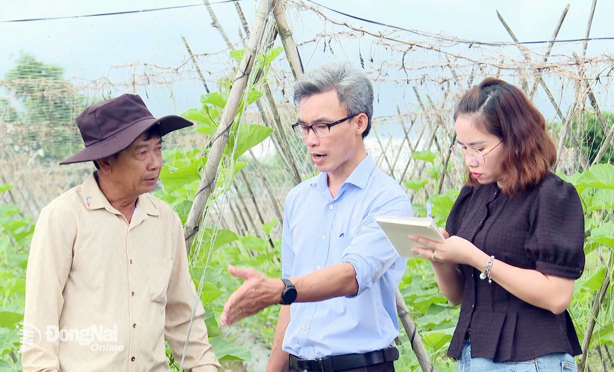 Ông Hồ Văn Tài – Chủ tịch Hội Nông dân xã Xuân Lộc (ở giữa) chia sẻ về hướng phát triển nông nghiệp sạch của địa phương. Ảnh: Đặng Hùng