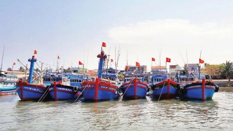 Quang Ngai Province strengthens inspection and control of fishing vessels entering and leaving ports to combat IUU fishing. (Photo: LUU HUONG)