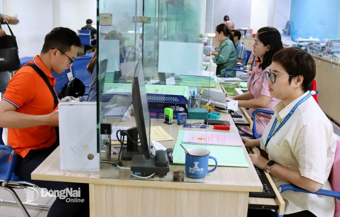 Dong Nai cleans land data, covering 93% of residential land plots and houses