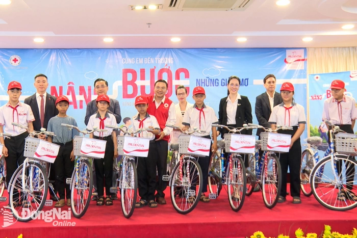 Khắp nơi trong tỉnh trưa 22-11-2025