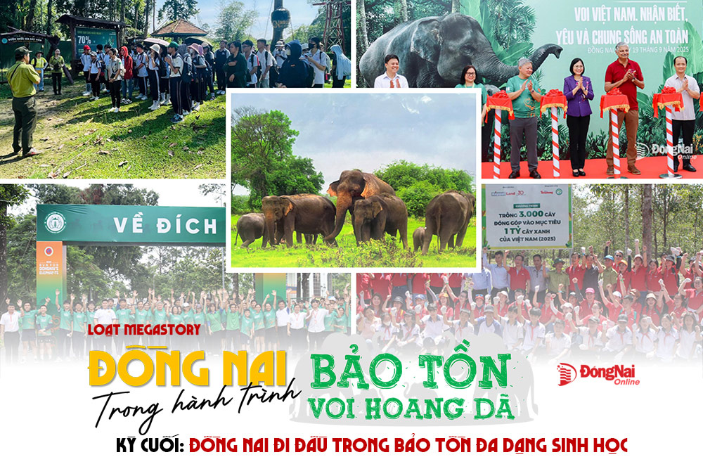 [Loạt Megastory] Đồng Nai trong hành trình bảo tồn voi hoang dã (Kỳ cuối)