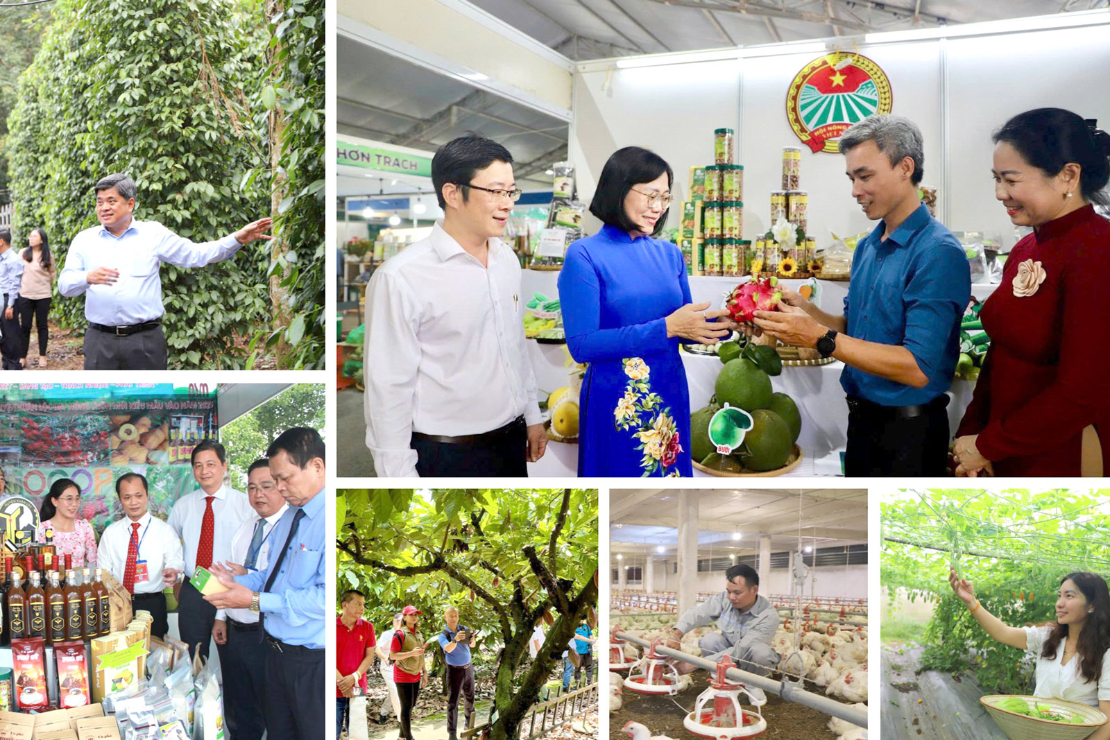 [Loạt Megastory] ‘Tam nông’ Đồng Nai trong hành trình xanh, bền vững (Kỳ 3)