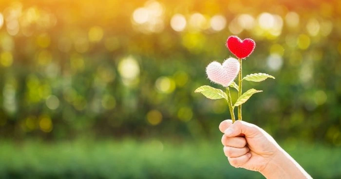 Hạnh phúc của con