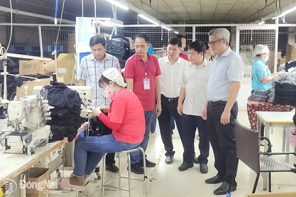 Lãnh đạo xã Xuân Hòa khảo sát thực tế các mô hình sản xuất tại địa phương. Ảnh: C.T.V