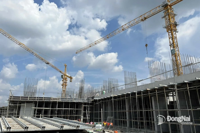 Đồng Nai có 8 dự án nhà ở xã hội đủ điều kiện vay gói tín dụng 120 ngàn tỷ đồng