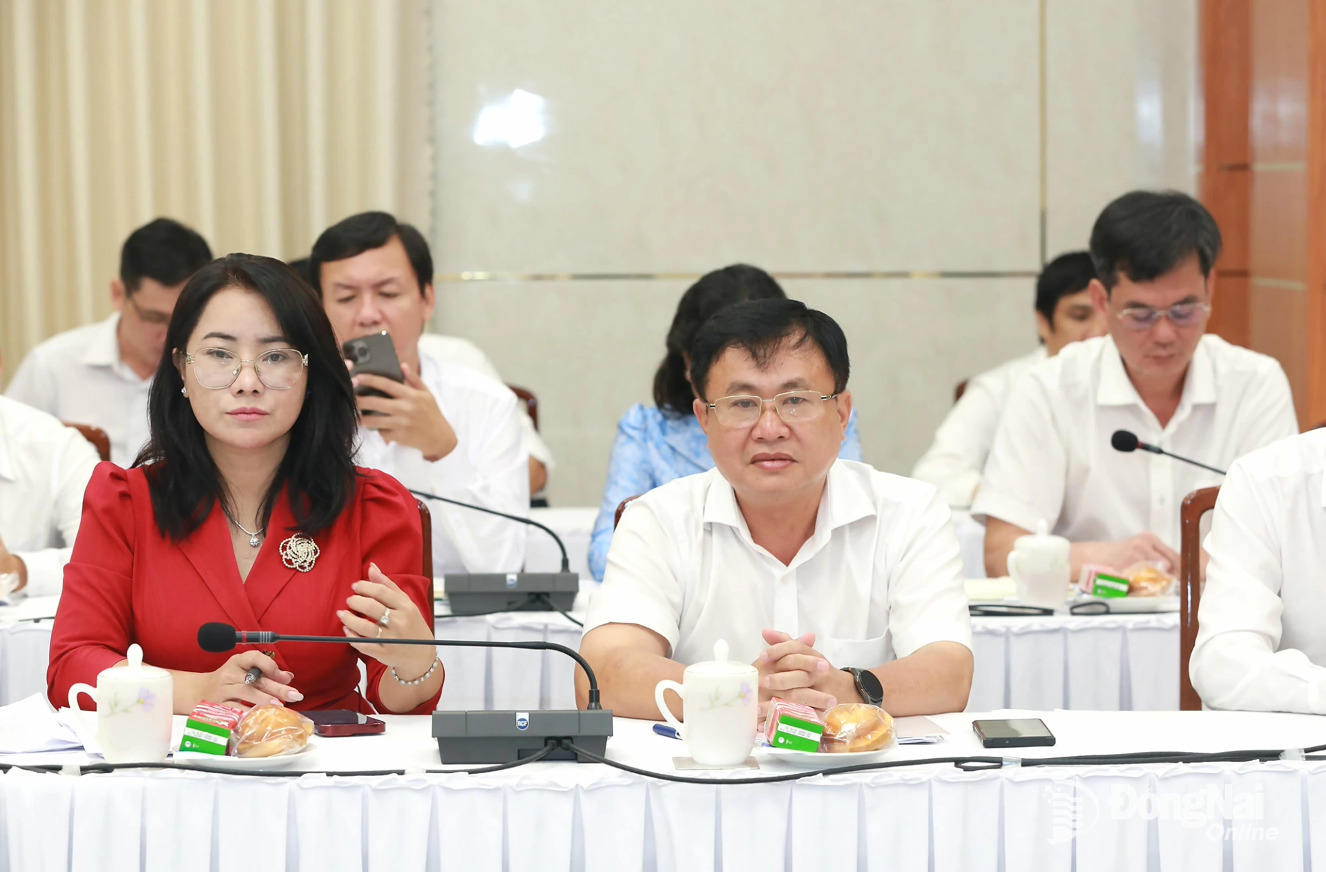 Các đại biểu dự hội nghị. Ảnh: Huy Anh