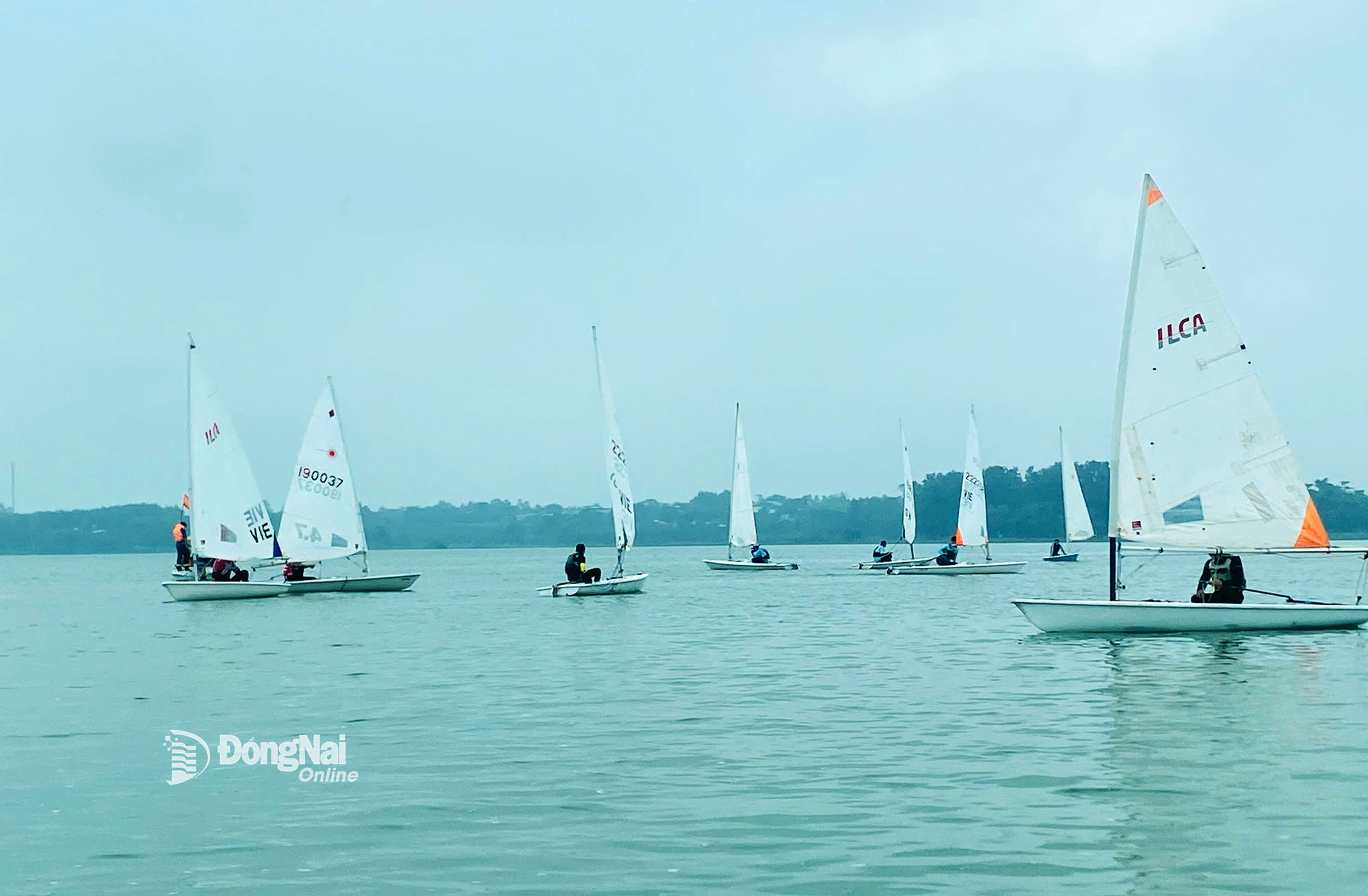 Các vận động viên đua nội dung ILCA. Ảnh: ĐVCC