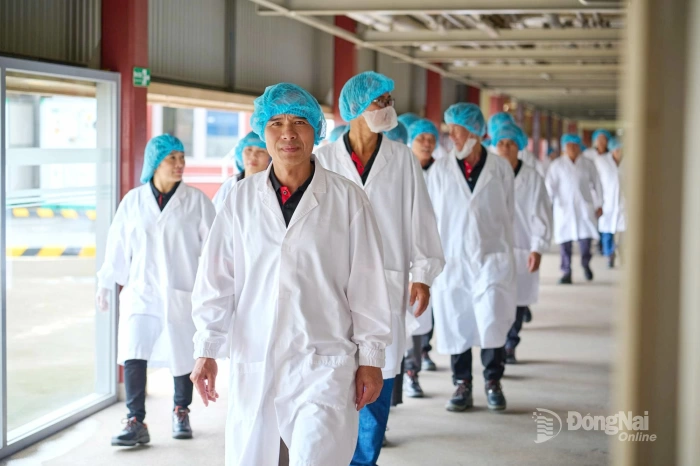 NESCAFÉ Plan và sứ mệnh thực hành nông nghiệp tái sinh tại Việt Nam