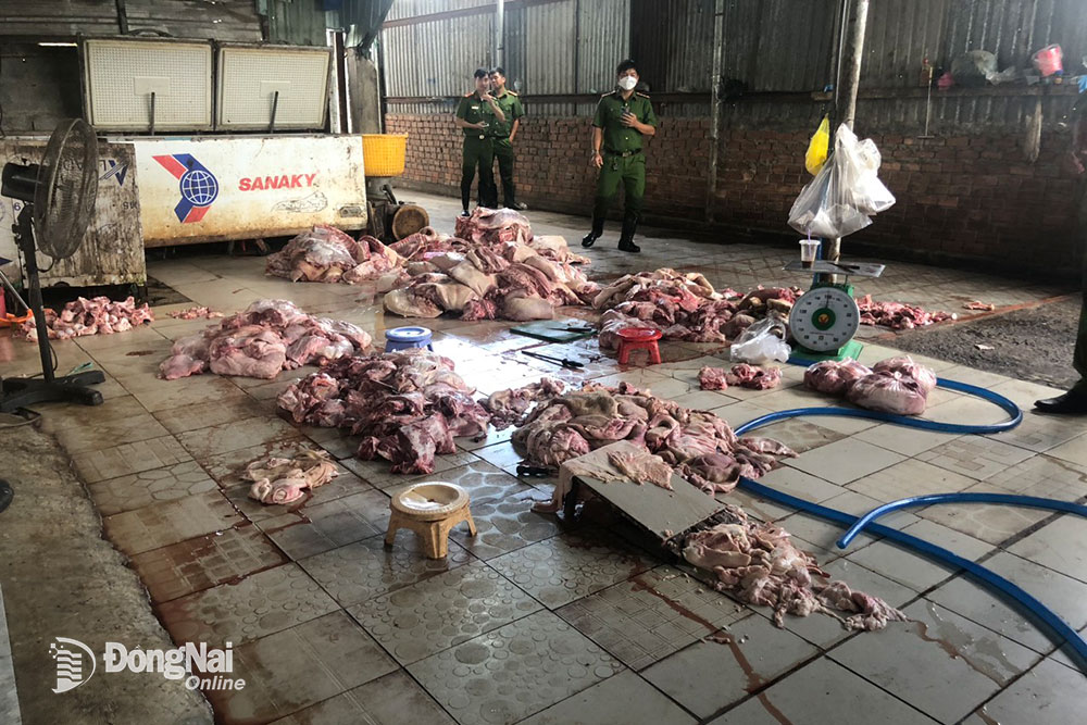 Thịt heo không đảm bảo an toàn vệ sinh được một lò mổ tại P.Long Bình (TP.Biên Hòa) sơ chế chuẩn bị mang đi tiêu thụ, bị cơ quan chức năng phát hiện, xử lý ngày 14-8. Ảnh: Trần Danh
