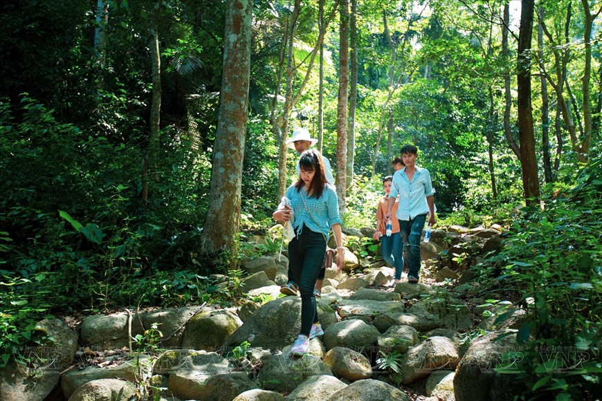 Chua Chan Mountain is home to abundant vegetation and a wide variety of perennial trees, making it an ideal destination for nature lovers looking to explore the wonders of the natural world. (Photo: VNP/VNA)

