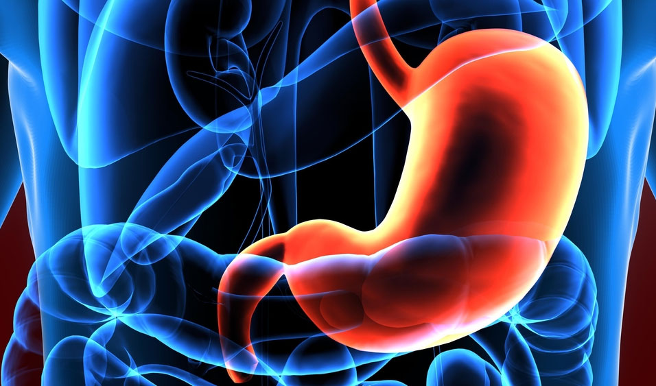 Bác sĩ trả lời: Tầm soát ung thư dạ dày hết bao nhiêu tiền?