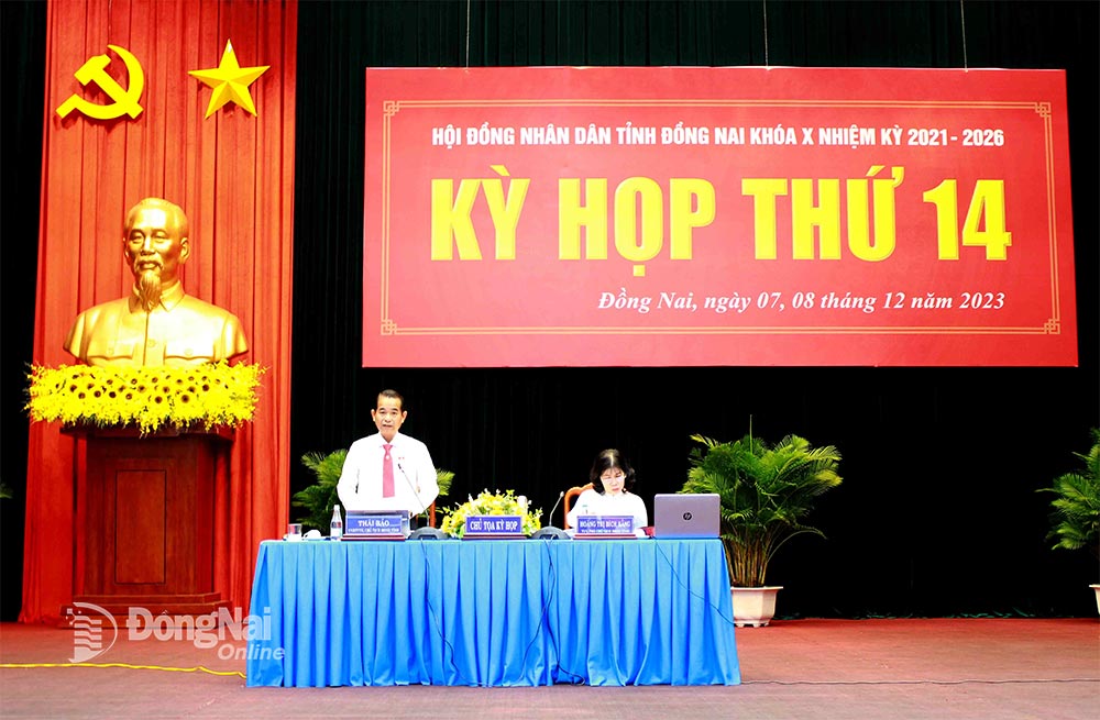 Chủ tịch HĐND tỉnh Thái Bảo phát biểu phiên chất vấn