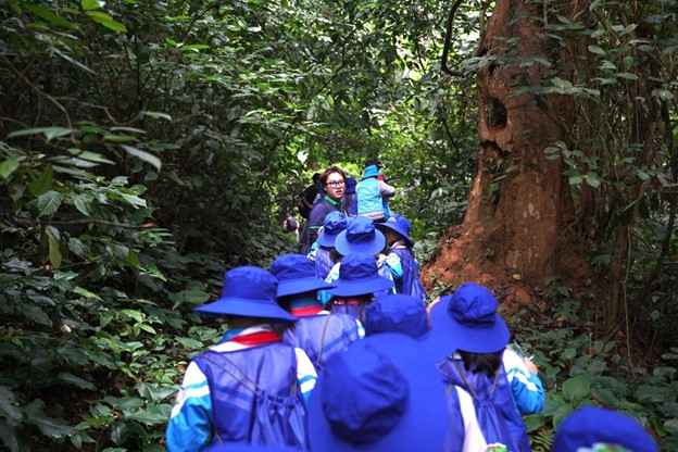 Children participate in a forest expedition at Cuc Phuong National Park - PHOTO: COURTESY OF SPVB
