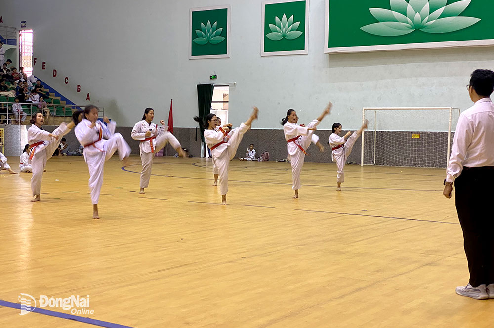 Các võ sinh tham gia kỳ thi huyền đai I, II, III đẳng Taekwondo tỉnh khóa II