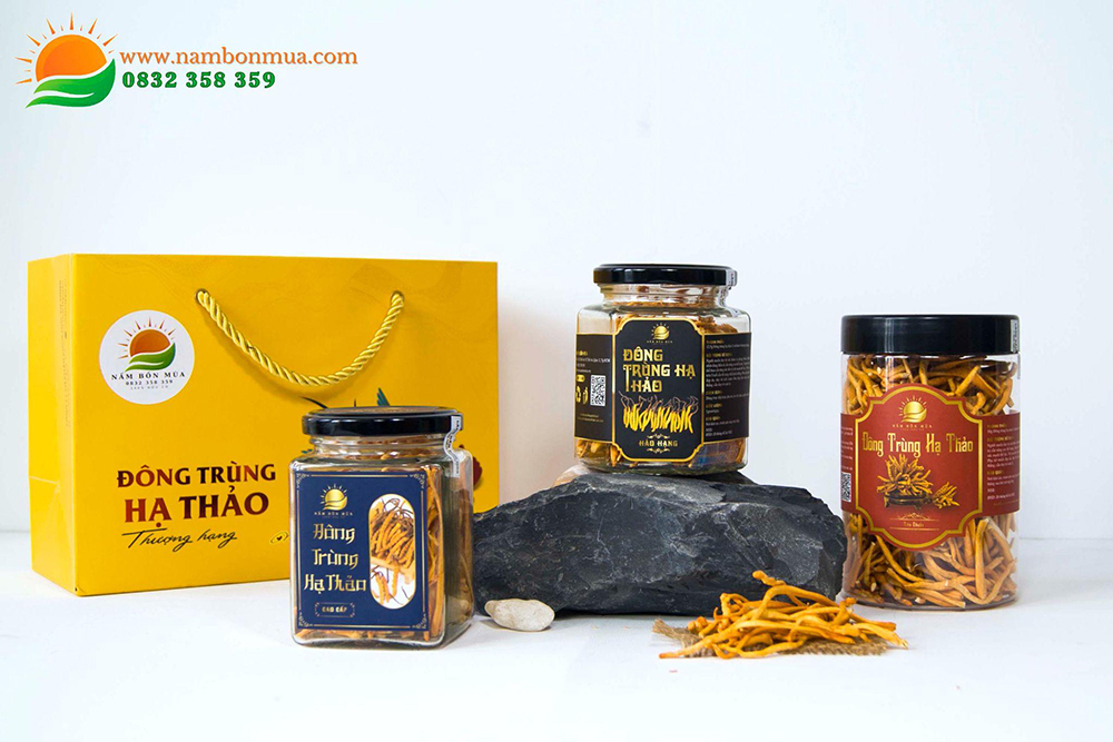 Dòng sản phẩm nấm dược liệu cao cấp tại Làng nấm Bốn Mùa.