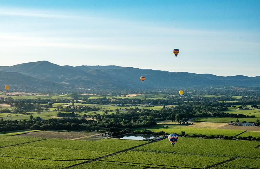 Thung lũng Napa - Ảnh: Kelsey