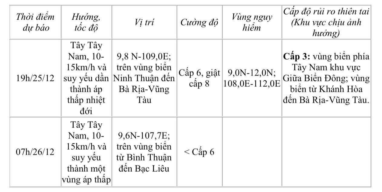 Dự báo diễn biến bão số 10 trong 24-48 giờ tới.