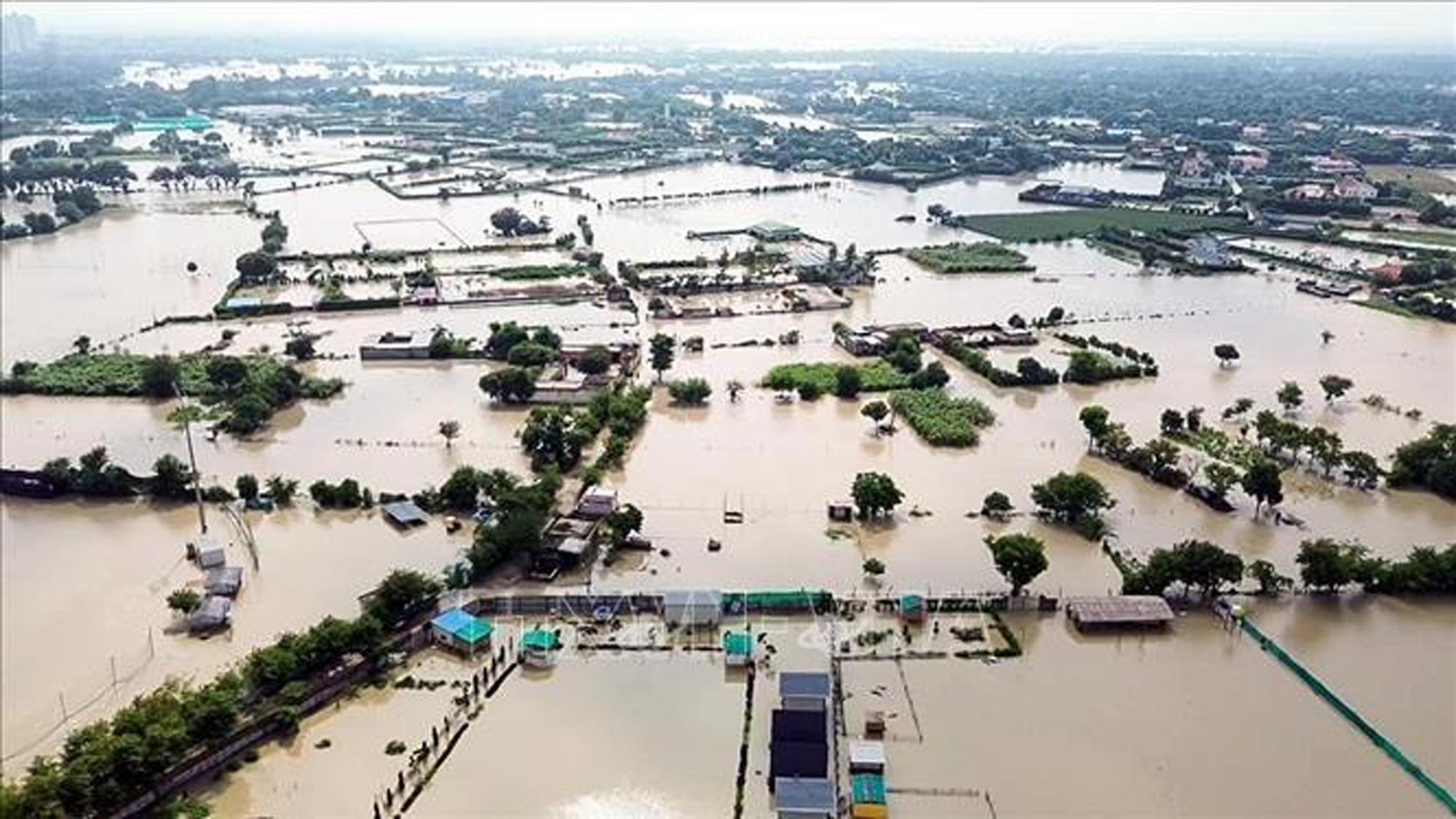 Giới chức Ấn Độ ngày 14-8-2025 cho biết số người thiệt mạng đã tăng lên 60 người, trong khi hơn 200 người mất tích do mưa lớn gây lũ quét nghiêm trọng tại khu vực Kashmir do nước này kiểm soát. Trong ảnh: Ngập lụt tại Noida, Ấn Độ. Ảnh: ANI/TTXVN