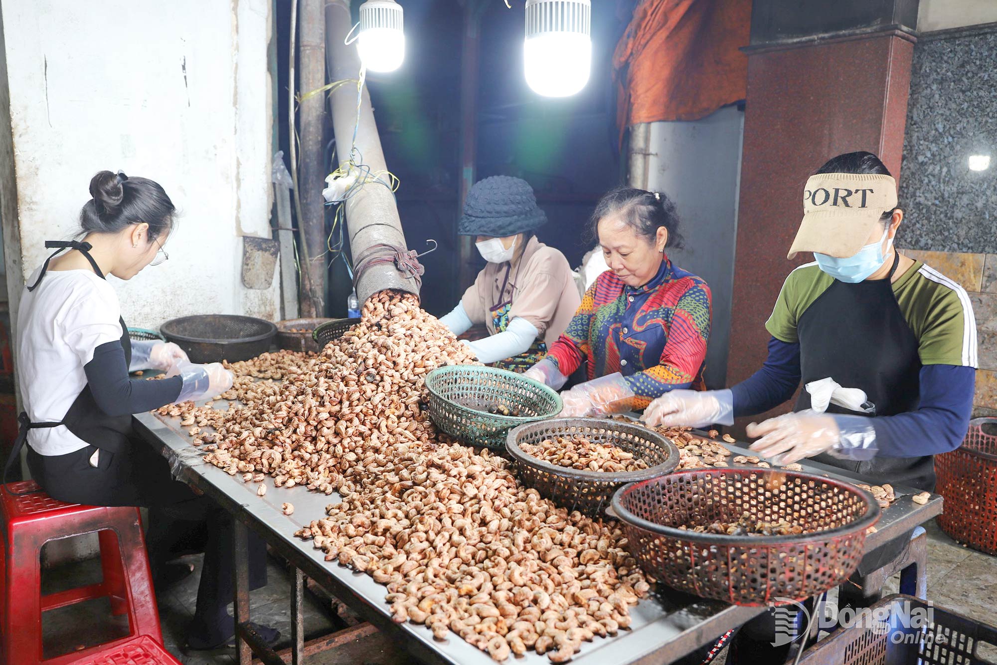 Chế biến hạt điều xuất khẩu tại xã Cẩm Mỹ. Ảnh: B.Nguyên