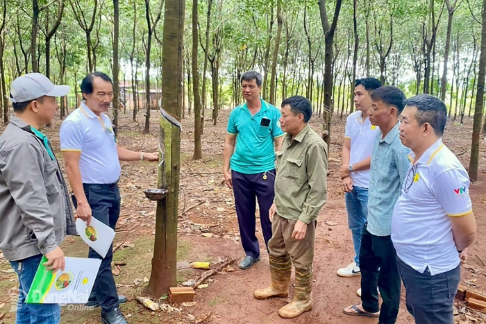 2Phong promotes the Good Agricultural Practices model