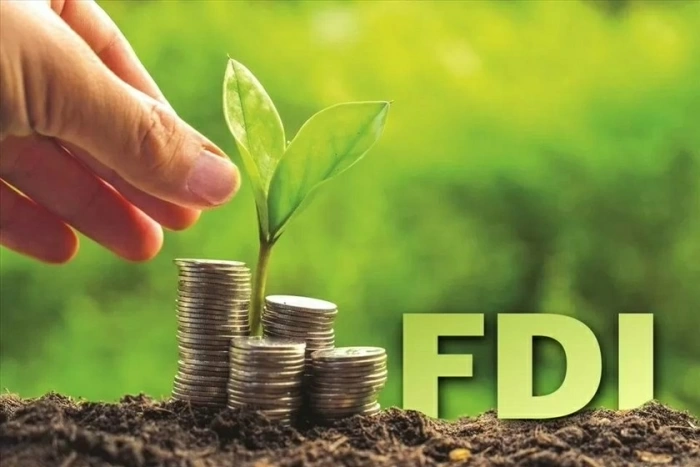 Để dòng vốn FDI hiệu quả và phát triển bền vững