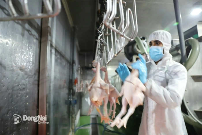 Ensuring safe food supplies for Lunar New Year market