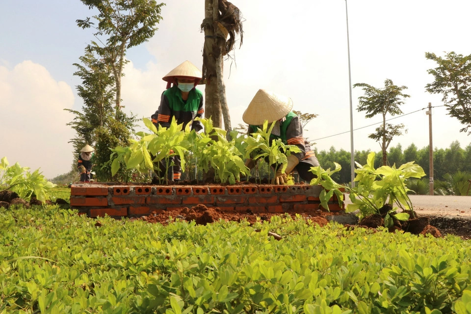 Workers plant trees along the transport route connecting Long Thanh Airport. (Photo: VNA)
