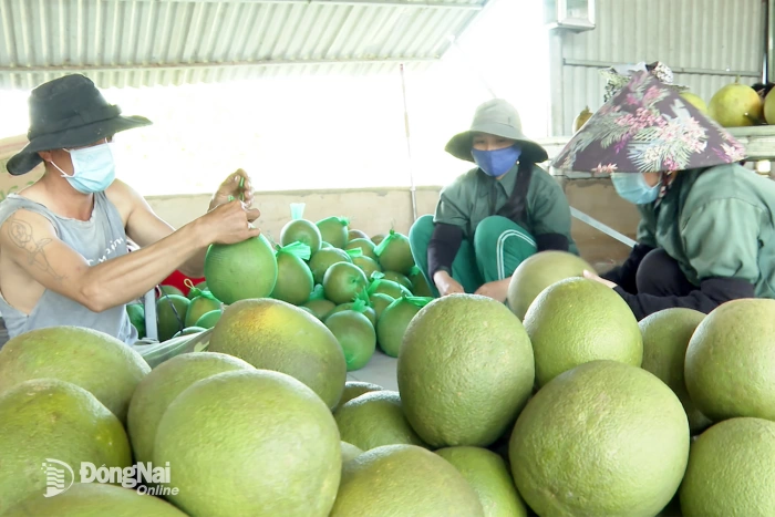 Xã Tân Tiến: Khát vọng mới sau sáp nhập