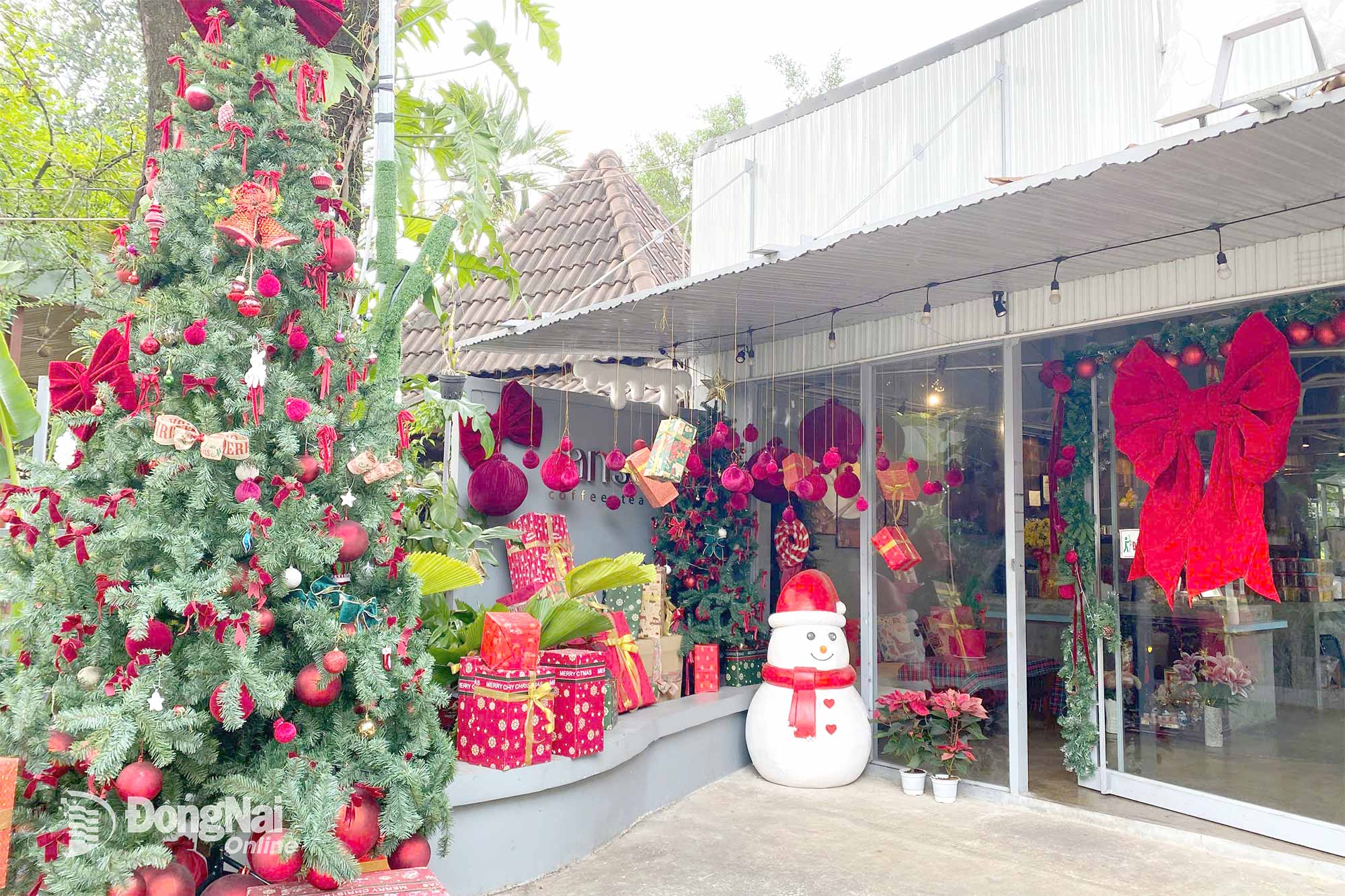 A coffee shop on Tran Phu Street, Binh Phuoc Ward, decorates a Christmas corner with a vibrant tree and a snowman model. Photo: Minh Nhat