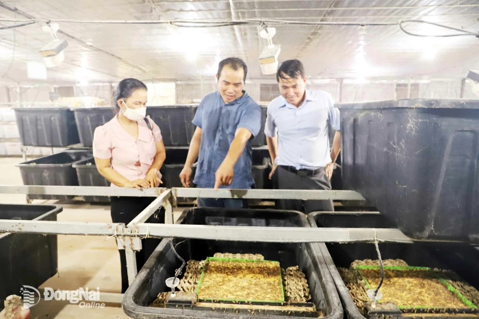 Phát triển nông nghiệp xanh, bền vững