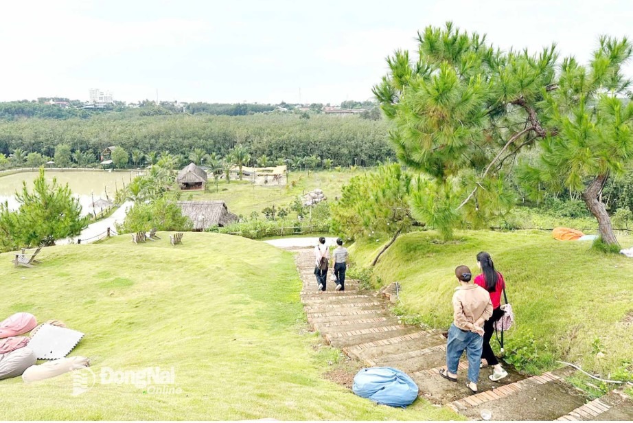 The “Farm Don Binh Minh” destination in Dong Xoai ward, Dong Nai Province, has recently attracted young people. Photo: Ngoc Lien