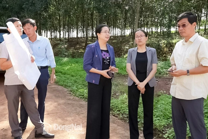 Khắp nơi trong tỉnh tối 9-12-2025