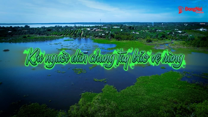 Khi người dân chung tay bảo vệ rừng