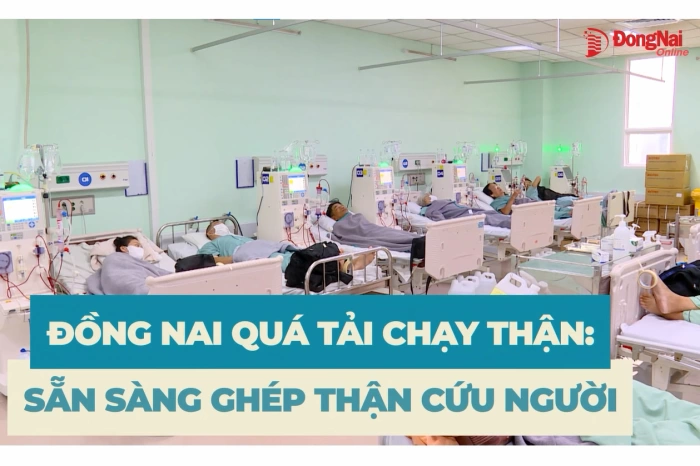 Đồng Nai quá tải chạy thận: Sẵn sàng ghép thận cứu người
