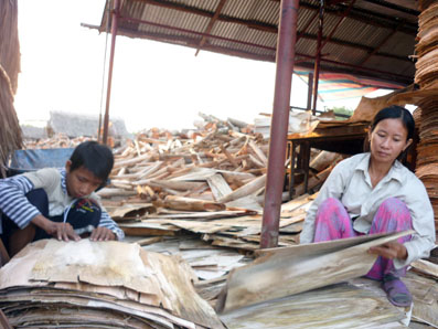 Hải Đảo luôn biết chia sẻ với mẹ từ công việc phơi ván.  Ảnh: Đ.Phú