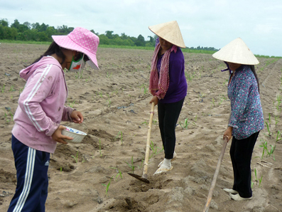 Xóm lò gạch