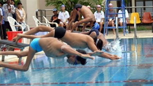 Bơi lội chiếm số đông vận động viên tham gia.