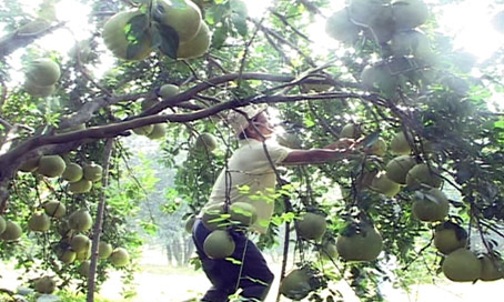 Xã Tân Bình đẩy nhanh tiến độ xây dựng nông thôn mới
