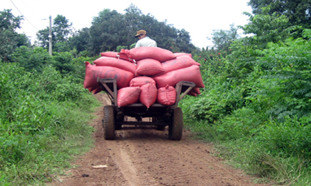 Xe máy cày là phương tiện duy nhất có thể ra vào để vận chuyển nông sản.